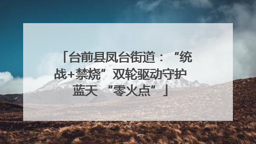 台前县凤台街道：“统战+禁烧”双轮驱动守护蓝天 “零火点”