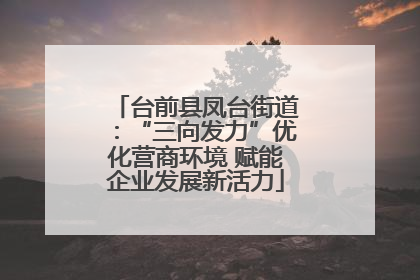 台前县凤台街道：“三向发力”优化营商环境 赋能企业发展新活力