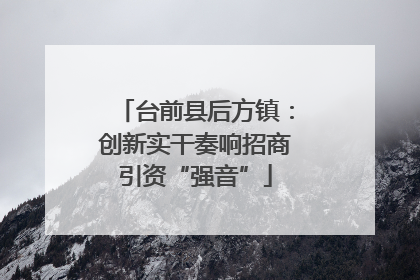 台前县后方镇：创新实干奏响招商引资“强音”