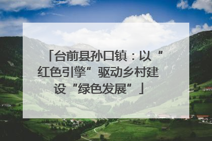 台前县孙口镇：以“红色引擎”驱动乡村建设“绿色发展”