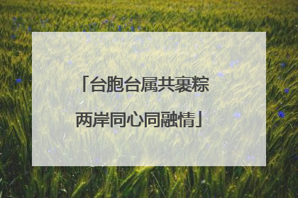 台胞台属共裹粽 两岸同心同融情