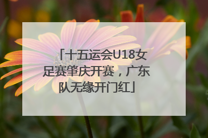 十五运会U18女足赛肇庆开赛，广东队无缘开门红