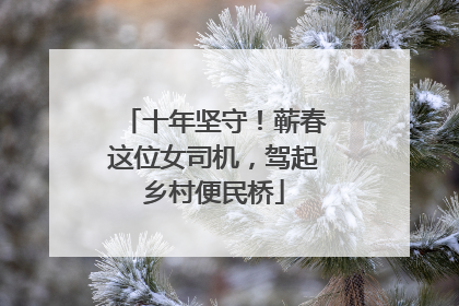 十年坚守！蕲春这位女司机，驾起乡村便民桥