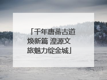 千年唐蕃古道焕新篇 湟源文旅魅力绽金城