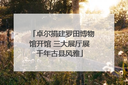 卓尔捐建罗田博物馆开馆 三大展厅展千年古县风雅
