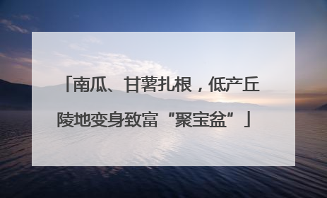 南瓜、甘薯扎根，低产丘陵地变身致富“聚宝盆”