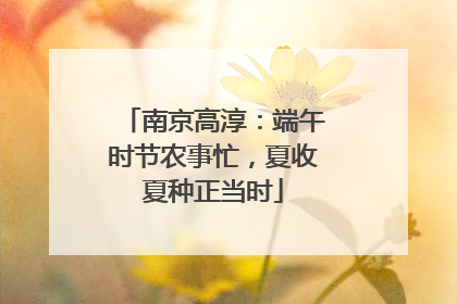南京高淳：端午时节农事忙，夏收夏种正当时