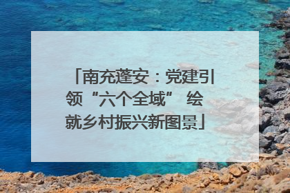 南充蓬安：党建引领“六个全域” 绘就乡村振兴新图景