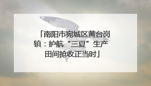 南阳市宛城区黄台岗镇：护航“三夏”生产 田间抢收正当时