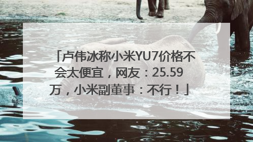 卢伟冰称小米YU7价格不会太便宜，网友：25.59万，小米副董事：不行！