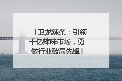 卫龙辣条：引领千亿辣味市场，勇做行业破局先锋