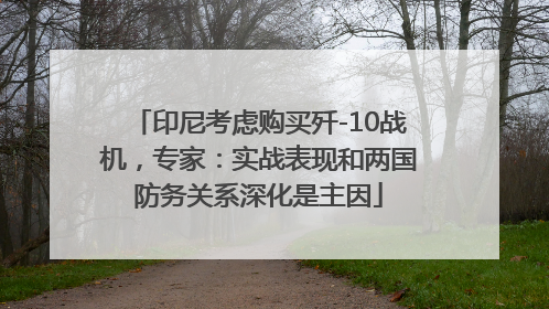 印尼考虑购买歼-10战机，专家：实战表现和两国防务关系深化是主因