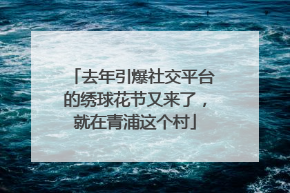 去年引爆社交平台的绣球花节又来了，就在青浦这个村