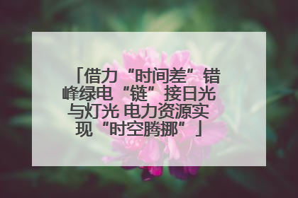 借力“时间差”错峰绿电“链”接日光与灯光 电力资源实现“时空腾挪”