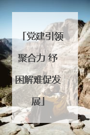 党建引领聚合力 纾困解难促发展