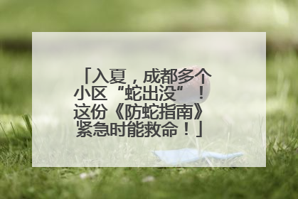 入夏，成都多个小区“蛇出没”！这份《防蛇指南》紧急时能救命！