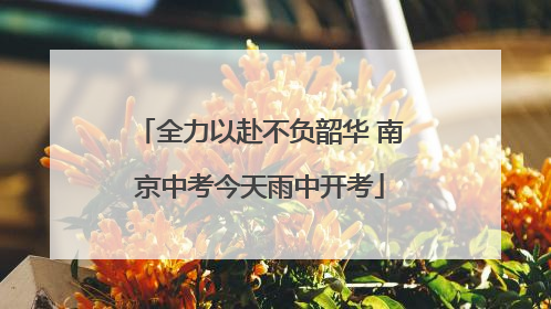 全力以赴不负韶华 南京中考今天雨中开考