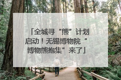 全城寻“熊”计划启动！无锡博物院“博物熊抱集”来了