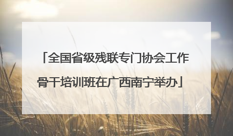全国省级残联专门协会工作骨干培训班在广西南宁举办