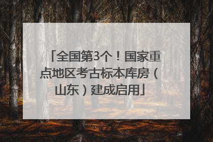 全国第3个！国家重点地区考古标本库房（山东）建成启用