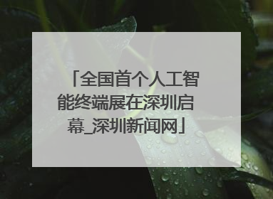 全国首个人工智能终端展在深圳启幕_深圳新闻网