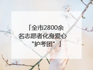 全市2800余名志愿者化身爱心“护考团”