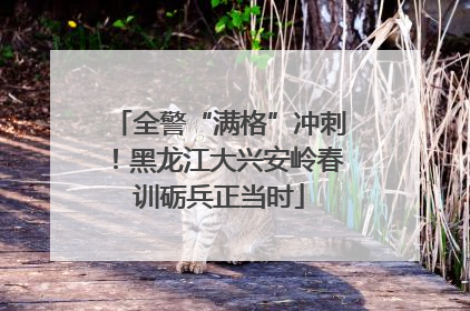 全警“满格”冲刺！黑龙江大兴安岭春训砺兵正当时
