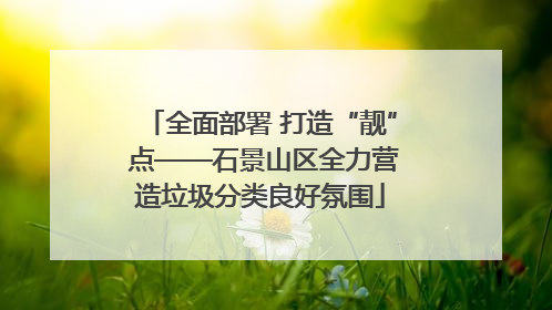 全面部署 打造“靓” 点——石景山区全力营造垃圾分类良好氛围