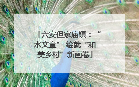 六安但家庙镇：“水文章” 绘就“和美乡村”新画卷