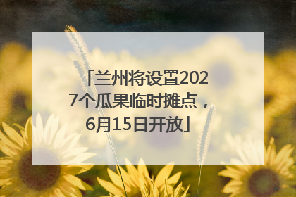 兰州将设置2027个瓜果临时摊点，6月15日开放