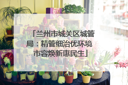 兰州市城关区城管局：精管细治优环境 市容焕新惠民生