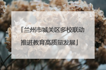 兰州市城关区多校联动推进教育高质量发展