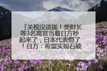 关税没谈拢！美财长等3名高官当着日方吵起来了，日本代表懵了！日方：希望实现石破茂与特朗普的会晤