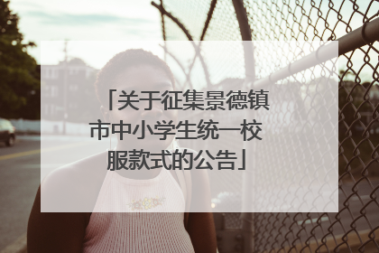 关于征集景德镇市中小学生统一校服款式的公告