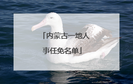 内蒙古一地人事任免名单