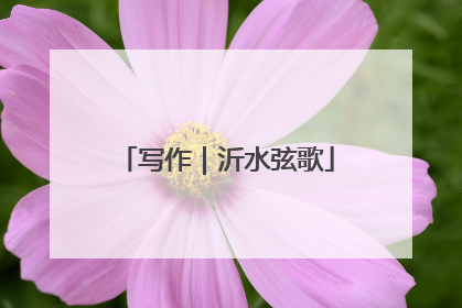 写作｜沂水弦歌