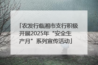 农发行临湘市支行积极开展2025年“安全生产月”系列宣传活动
