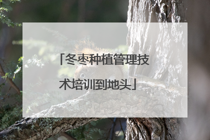 冬枣种植管理技术培训到地头