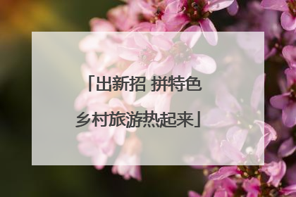 出新招 拼特色 乡村旅游热起来