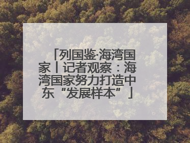 列国鉴·海湾国家丨记者观察：海湾国家努力打造中东“发展样本”