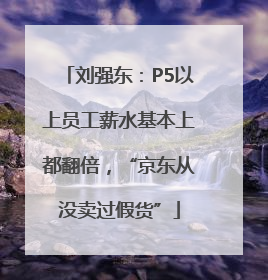 刘强东：P5以上员工薪水基本上都翻倍，“京东从没卖过假货”