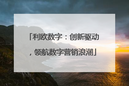 利欧数字：创新驱动，领航数字营销浪潮