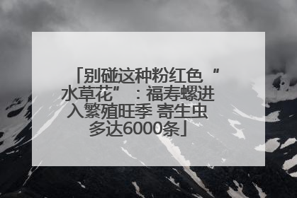 别碰这种粉红色“水草花”：福寿螺进入繁殖旺季 寄生虫多达6000条