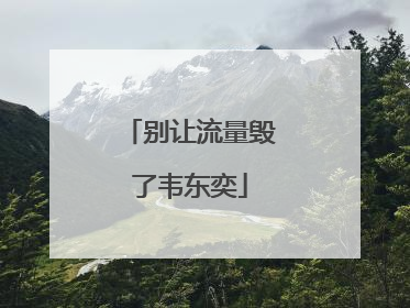 别让流量毁了韦东奕