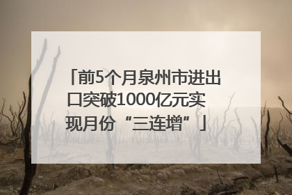 前5个月泉州市进出口突破1000亿元实现月份“三连增”