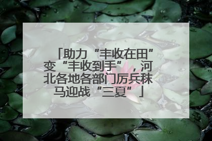 助力“丰收在田”变“丰收到手”，河北各地各部门厉兵秣马迎战“三夏”