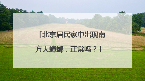 北京居民家中出现南方大蟑螂，正常吗？
