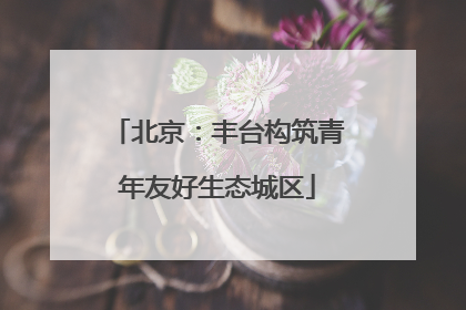北京：丰台构筑青年友好生态城区