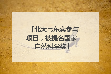 北大韦东奕参与项目，被提名国家自然科学奖