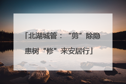 北湖城管：“剪”除隐患树“修”来安居行